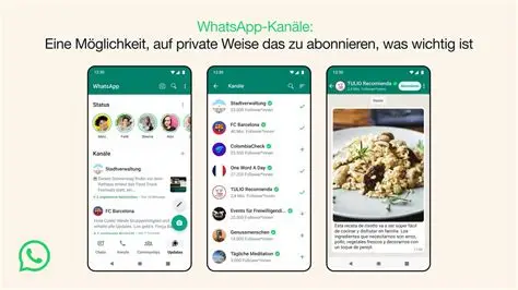 电脑装WhatsApp其实有3种方法,90%的人漏了关键步骤